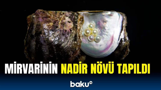 Ellinizm dövrünə aid mirvari aşkar olunub | Alimlərdən maraqlı kəşf