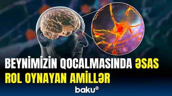 Beyni qocalmaqdan necə qoruyaq? | Alimlər hər şeyi açıqladı
