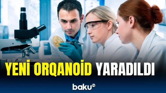 Ürək və qan əmələ gətirən toxumaları birləşdirən yeni model hazırlandı | Detallar açıqlandı