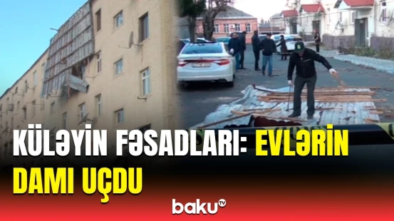 Zaqatalada külək ciddi fəsadlar törətdi | Dəhşətli görüntülər