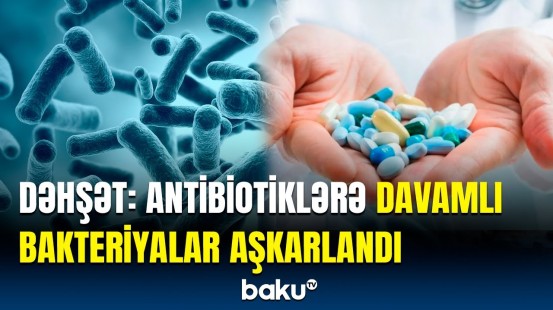 Sağlamlıq üçün ciddi təhlükə | Bakteriya hansı xəstəliklərə yol açır?