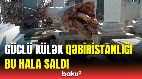 Mingəçevirdə güclü külək fəsadlar törətdi