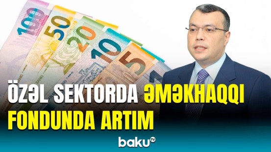 Sahil Babayev məşğulluğun təmin edilməsində özəl sektorun önəmini vurğuladı