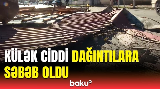 Külək bu əraziləri viran qoydu | Göyçayda küləkli havanın fəsadları