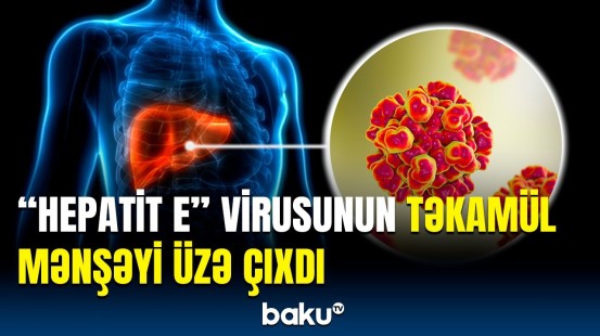 "Hepatit E" virusunun yaratdığı kəskin xəstəliklər | Detallar açıqlandı