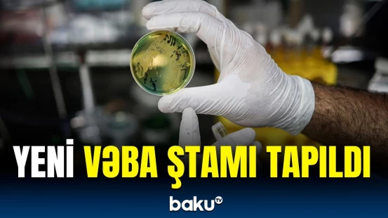 Bu təhlükəli ştamın əlacı yoxdur? | Alimlərdən maraqlı məlumatlar