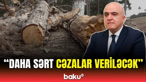 Bu il təbiətə zərərvermə hadisəsinin sayı açıqlandı | Kimliyindən asılı olmayaraq...