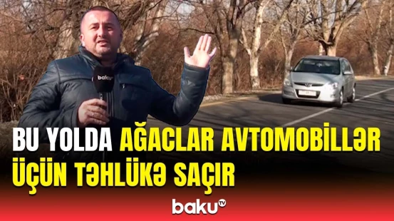 Oğuzda yol kənarındakı ağacların qurumuş budaqları niyə budanmır?