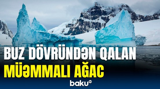 İqlim dəyişikliyi barədə vacib araşdırma | Mütəxəssislər nələri ortaya çıxardı?