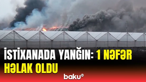 İmişlidə istixanada güclü yanğın | Dəhşətli görüntülər