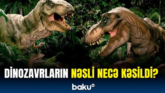 Dinozavrlar necə yox oldu? - Mühüm araşdırmanın təəccübləndirən nəticəsi