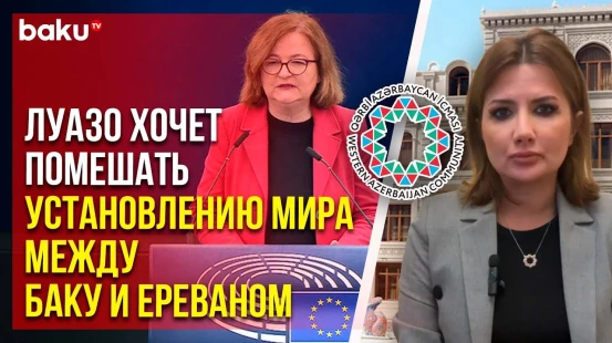 ОЗА осудила предвзятую позицию депутата Европарламента от Франции Натали Луазо