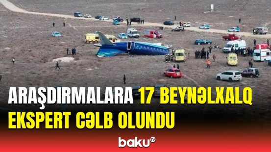 Qazaxıstanın Baş naziri araşdırmalara cəlb olunan ekspertlərdən danışdı