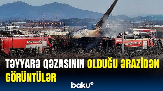 Cənubi Koreyadakı təyyarə qəzasının yeni görüntüləri