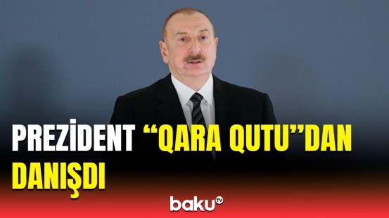 Hadisəni quşlara bağlamaq ağılsızlıqdır | Prezidentdən təyyarə qəzası ilə bağlı vacib açıqlama