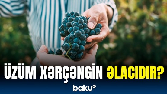 Xərçəngin kimyaterapiyasının nəticələrini yaxşılaşdıran təbii maddə kəşf edildi