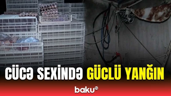 Fermadakı yanğında 4 min cücə tələf oldu | Ucar