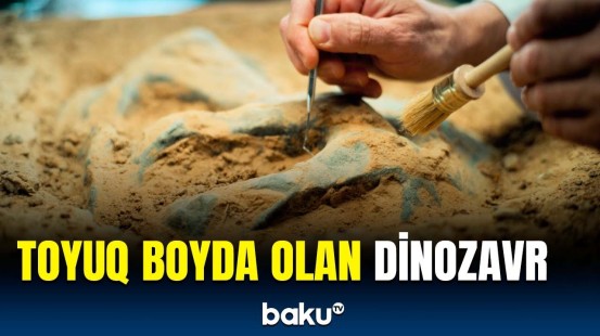 Dinozavrlar niyə yox olub? - Qədim heyvanlar haqqında maraqlı faktlar