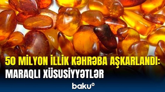 Kəhrəbanın içindən nələr tapıldı? | Hər kəsi təəccübləndirən faktlar