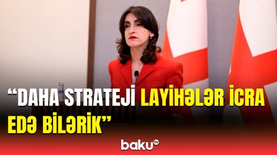 Gürcüstanın XİN rəhbəri iki ölkə arasındakı iqtisadi əməkdaşlıqdan danışdı