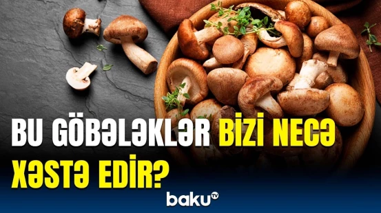 Bazar və marketlərdə satılan göbələyi yemək niyə təhlükəlidir?