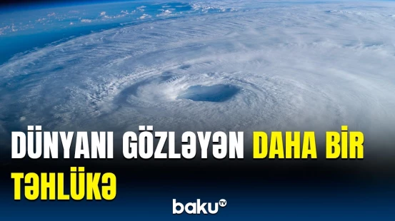 Meşə yanğınlarının gizli fəsadları üzə çıxdı | Alimlər ilk dəfə bunu etdi