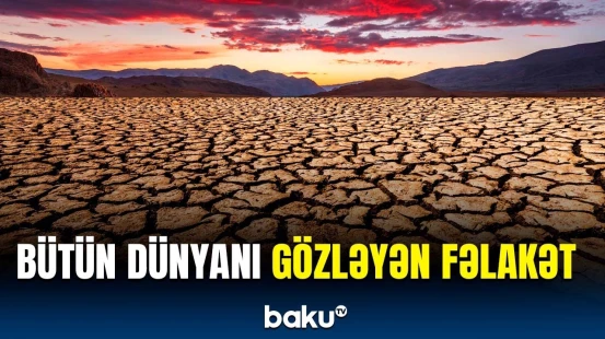 Dünya niyə təhlükə altındadır? | Getdikcə artan dəhşətli problem