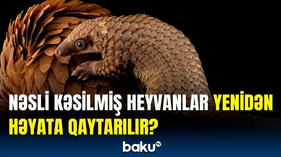 Biotexnologiya sahəsində mühüm yenilik | Alimlər elə şeylər açıqladı ki…