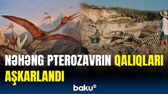 Kanadada alimlərdən hər kəsi heyrətləndirən tapıntı | İsbat etdi ki…