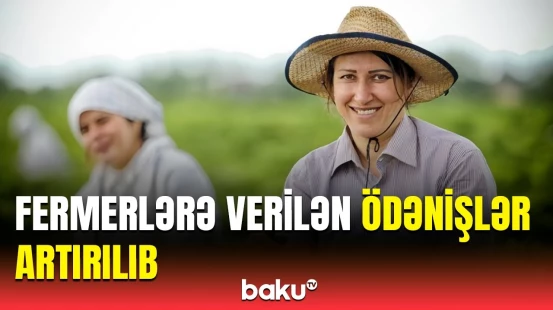 Hansı xərclərin 70 faizini dövlət qarşılayacaq? | Subsidiya şərtlərində dəyişiklik