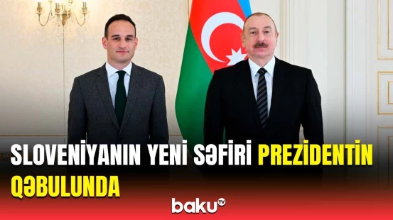 Prezident Sloveniyanın yeni səfirini qəbul etdi | Nələr müzakirə edildi?