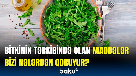 Ürək-damar sistemini gücləndirməyə kömək edən mühüm məsləhət | Həkimdən açıqlama