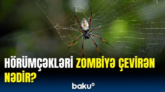 Elm dünyasını heyrətə salan kəşf | Bu, elə təhlükəlidir ki...