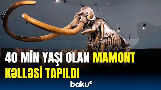 Alimlərdən həyəcanlı tapıntı | Mamontlar 40 min il əvvəl harada yaşayıb?