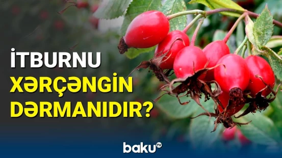 Sağlamlığınızı yaxşılaşdırmaq üçün yeni üsullar | Sübut edildi ki, 48 maddə…
