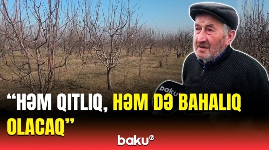 Fermerlər niyə çıxılmaz vəziyyətdə qalıb? - Mütəxəssisdən vacib məsləhət