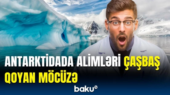 Qəribə olan təkcə görünüşü deyil | Antarktidadakı donmayan “qanlı şəlalə”nin sirri açıldı?