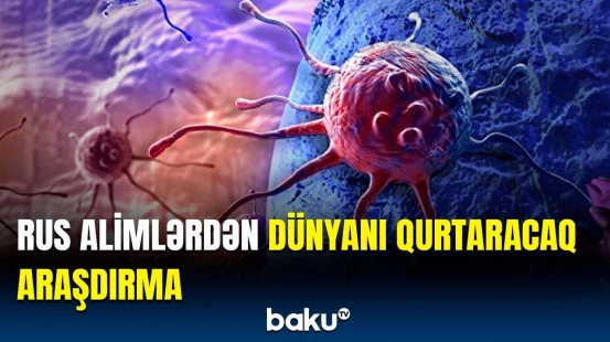 Bu giləmeyvə xərçəngin əsl düşməni imiş | Ekspertlərdən önəmli addım