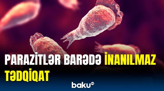 Alimlərdən parazitlərlə bağlı maraqlı araşdırma | Detallar üzə çıxdı