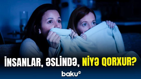 İnsanlar və siçanlar arasında oxşar davranışlar | Mütəxəssislərdən araşdırma