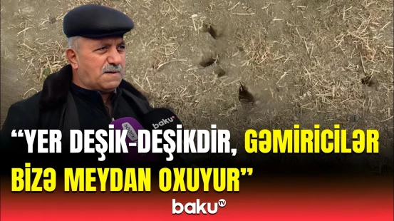 Su dərdindən əkib-biçə bilmirik | Fermerləri ziyana salan problem niyə həll edilmir?