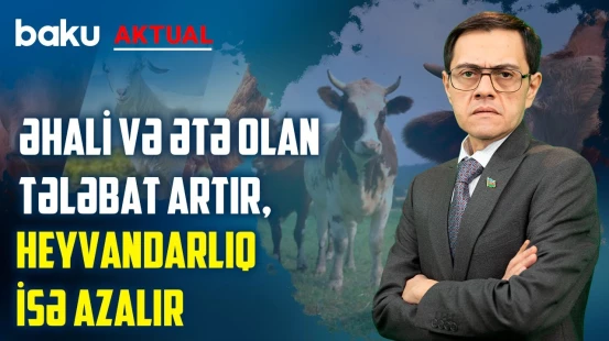 Heyvanlar çəkiyə dolmamış kəsilib ətindən istifadə edilir - BAKU AKTUAL