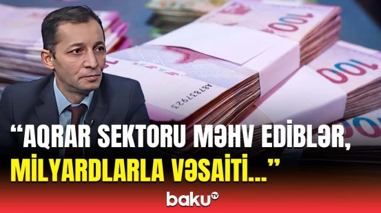 Ət buna görə bahalaşır | Sosioloq qurumu tənqid etdi