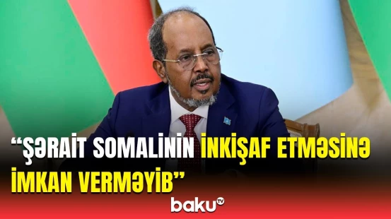 Azərbaycanın qazandığı təcrübəni bölüşmək istərdik | Hasan Şeyx Mahmud