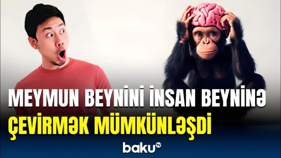 Alimlərin sensasiya yaradan bu kəşfi nələrə səbəb olacaq?