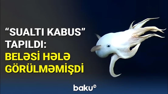 Dənizdə qeyri-adi tapıntı | Kainat haqqında fərziyyələr alt-üst olacaq?