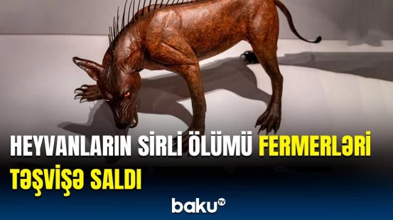 Gözətçi itlər də bundan xəbərsiz olub | Heyvanların axırına çıxan nədir?