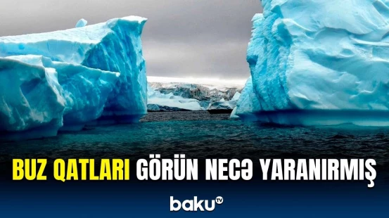 Yer kürəsinin qütblərində buz qatlarının yaranmasının səbəbləri | Tədqiqatçılardan açıqlama