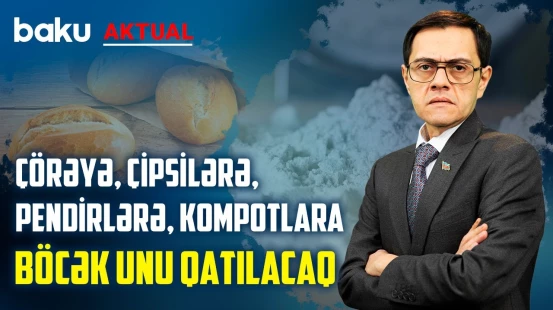 Dünyanın bir çox yerlərində həşəratlar müntəzəm olaraq yeyilir, biz buna hazırıq? - BAKU AKTUAL