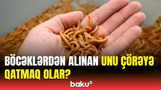 Böcək unu xəstəlik yaradır, yoxsa...? | Mütəxəssisdən heyrətləndirən açıqlama